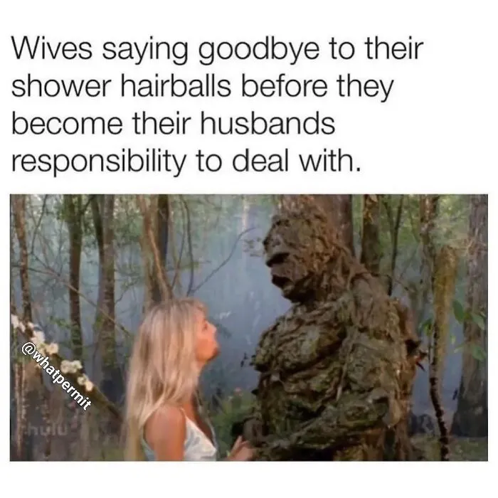 Funny meme showing a woman looking at a swamp creature in a forest setting.