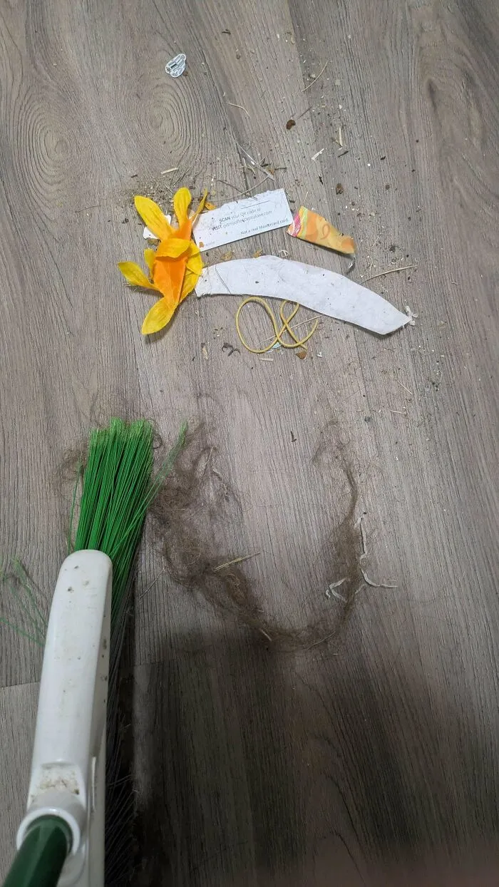 A pile of swept debris and hair left on the floor next to a broom, showing things partners do.