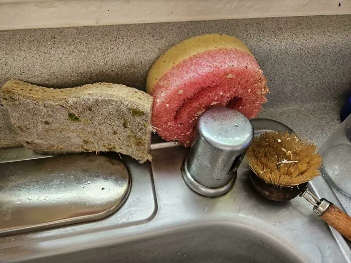 Sponges and a brush sitting wet on a kitchen sink edge, showing things partners do.