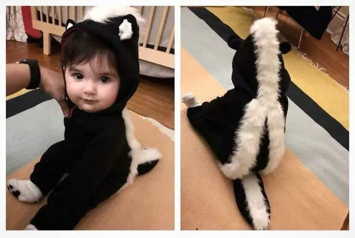 Adorable baby wearing a furry skunk Halloween costume