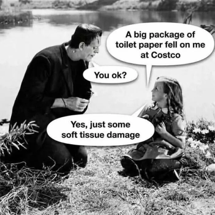 Black and white wholesome meme showing Frankenstein talking to a little girl about toilet paper and soft tissue damage.