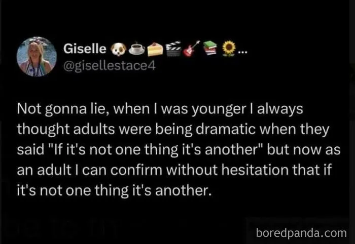 Wholesome memes social media post reflecting on the truth of growing up and adulthood.