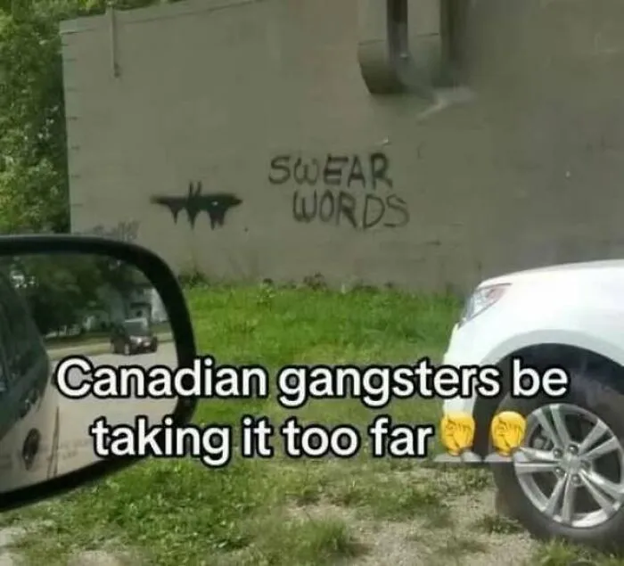 Wholesome memes photo of mild spray paint graffiti reading SWEAR WORDS on a wall.