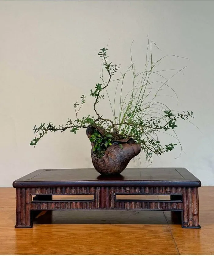 Organic brown ceramic pot holding a small bonsai arrangement as part of beautiful pottery creations.