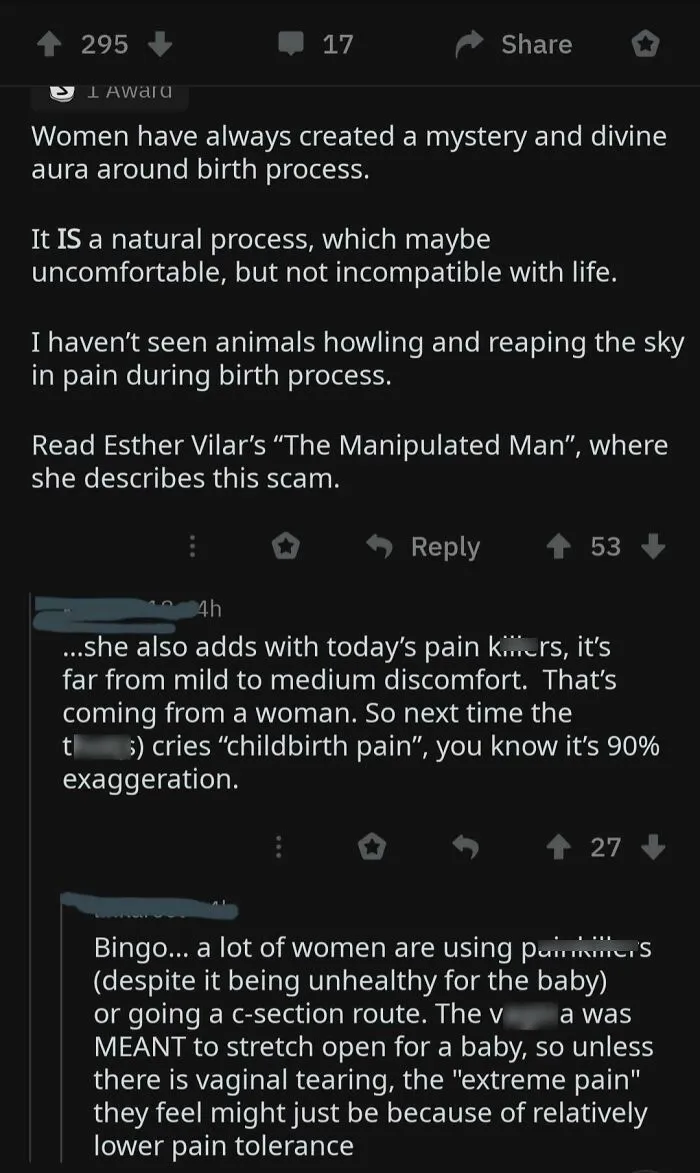Online discussion thread featuring absurd wrong takes on female anatomy.