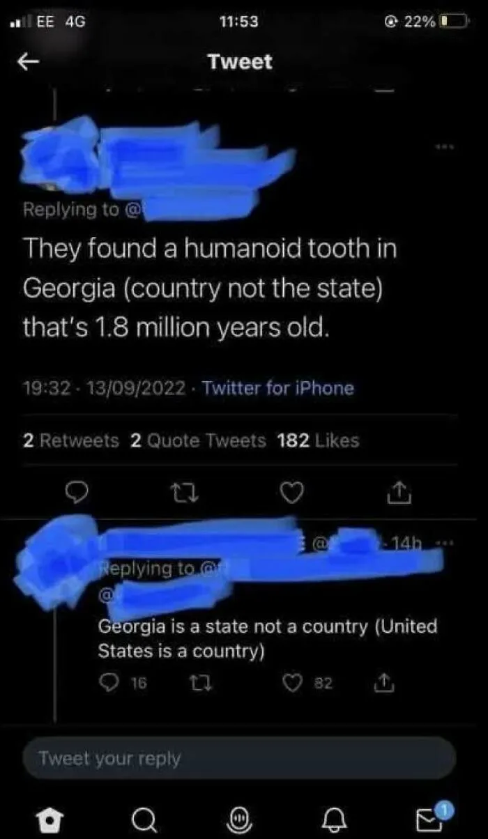 Tweet reply where an internet user lacks education on the country of Georgia versus the US state