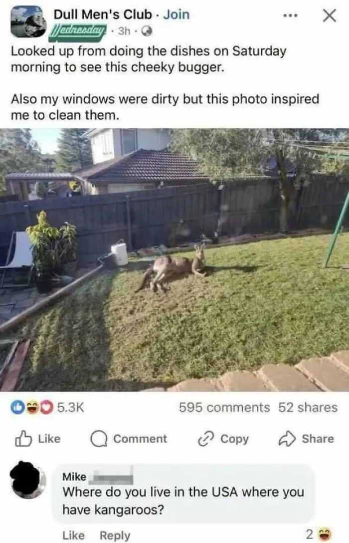 Facebook post featuring a kangaroo in a yard, showing internet users assuming the photo was taken in the USA.