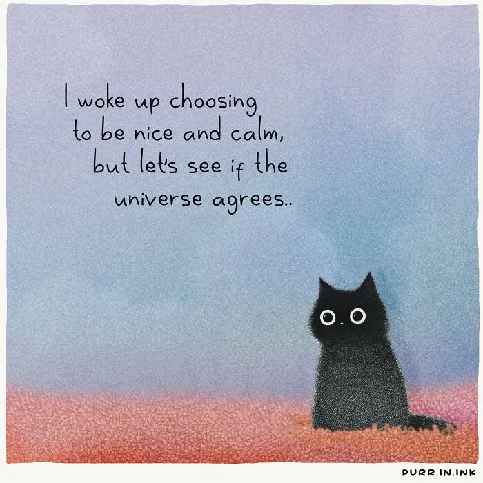 Cat illustrations by Luis Coelho depicting a black cat sitting peacefully on a warm background