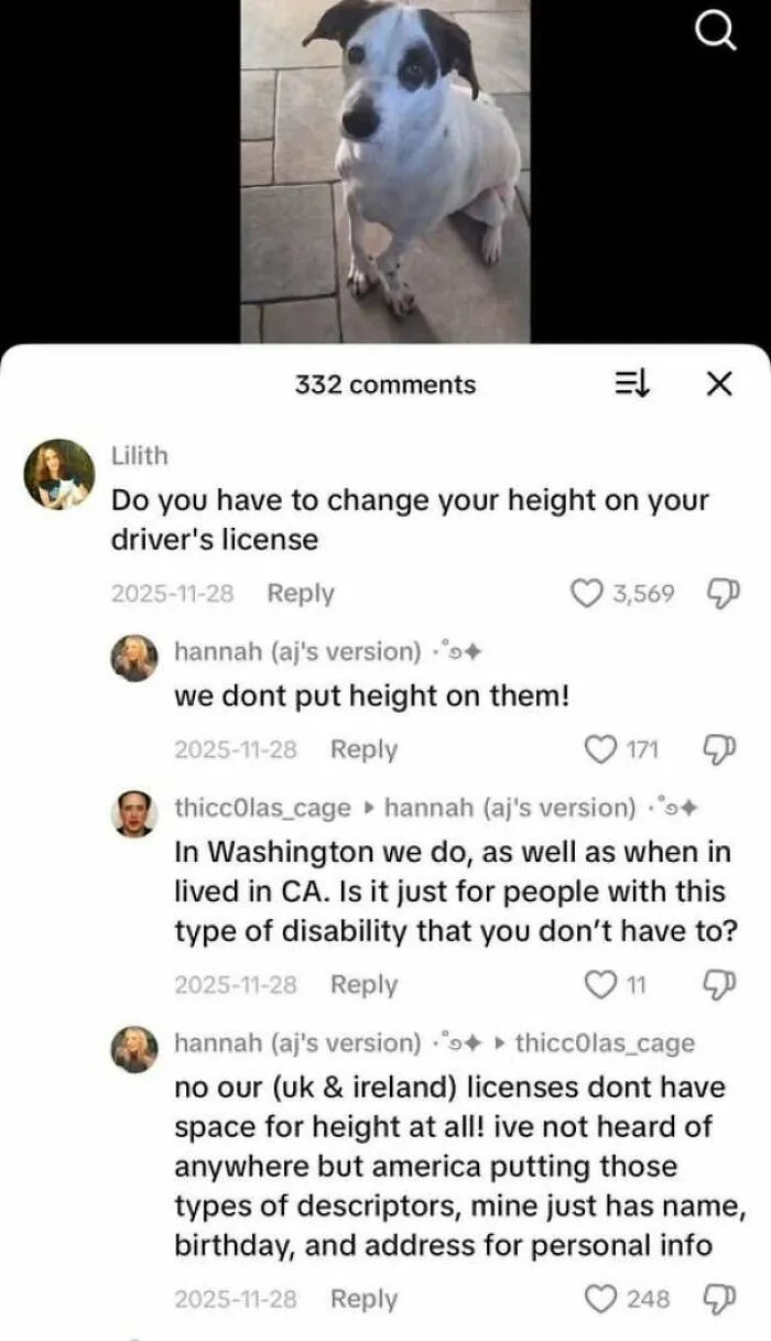 A comment thread about driver licenses demonstrating internet users lack of education on global differences.