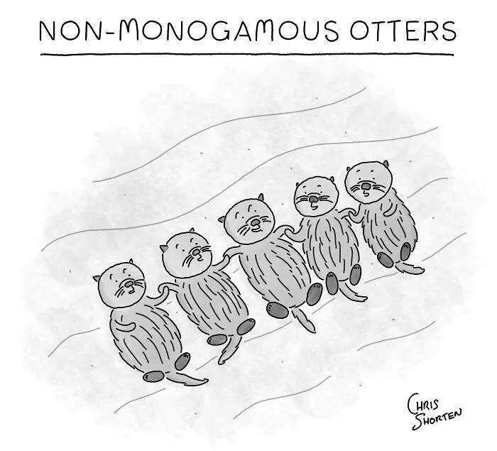Single-panel comic by Chris Shorten showing five otters floating together labeled Non-Monogamous Otters.