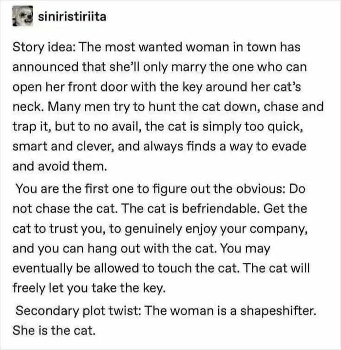 Tumblr story idea about a woman who only marries the one who can get a key from her clever shapeshifting cat
