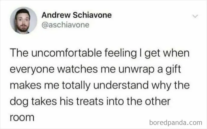 Tweet about feeling uncomfortable unwrapping gifts relates to dog behavior humor