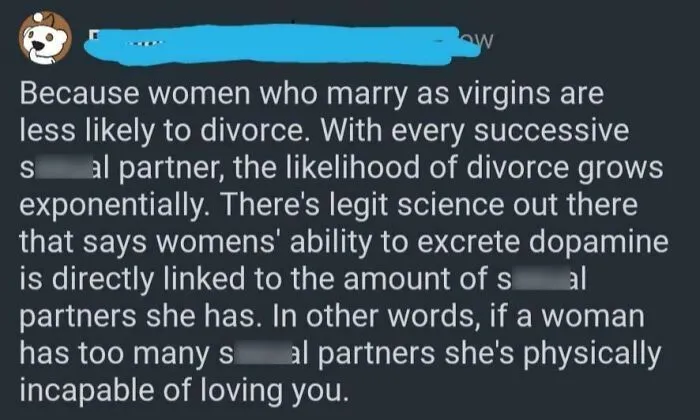 Online comment containing a wrong take on female anatomy about dopamine release and romantic partners.