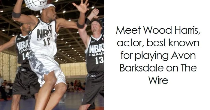 Wood Harris: Bio And Career Highlights