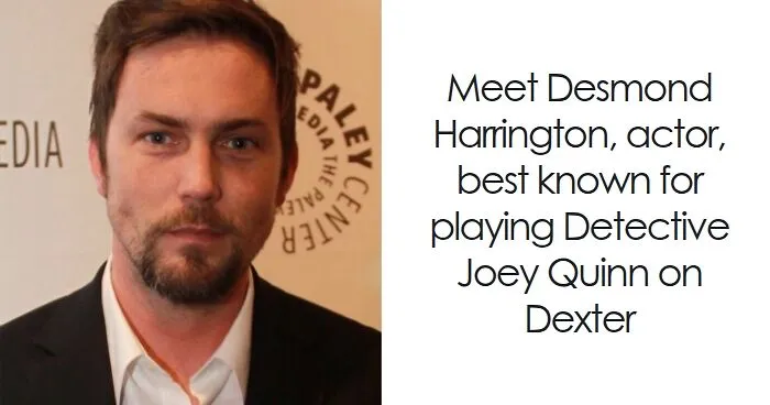 Desmond Harrington: Bio And Career Highlights