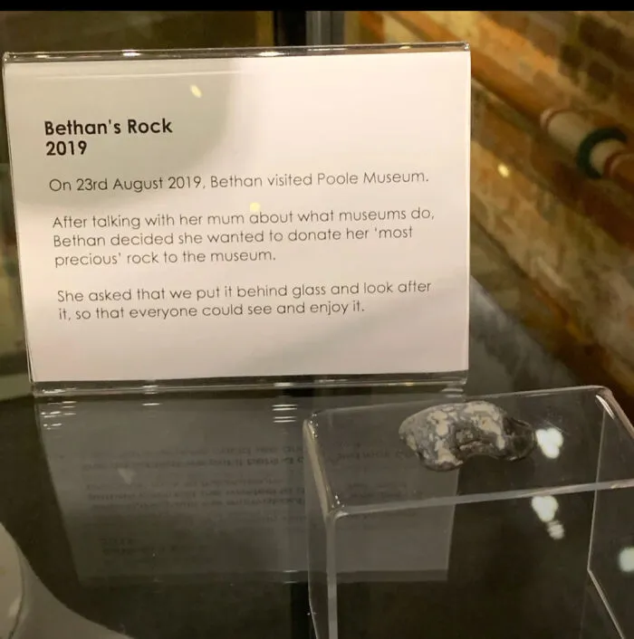 Display case in a museum holding a donated rock, captured as one of the wholesome moments shared online.