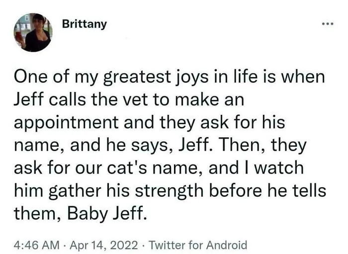 A funny tweet about a cat named Baby Jeff, showcasing wholesome moments from social media.