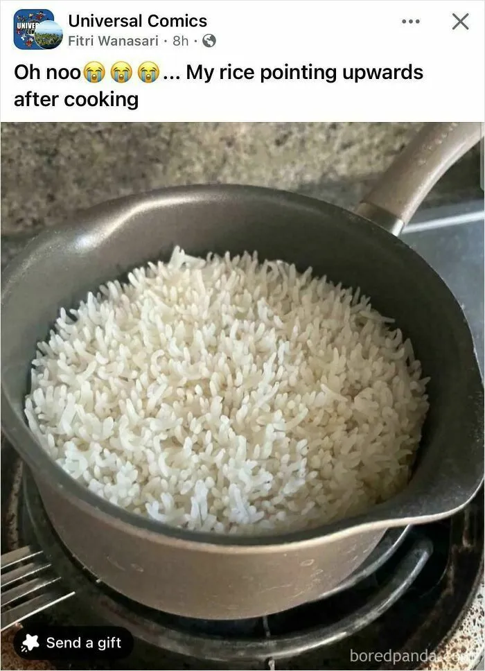 Social media post showing cooked white rice standing upright in a pot, exemplifying complex memes.