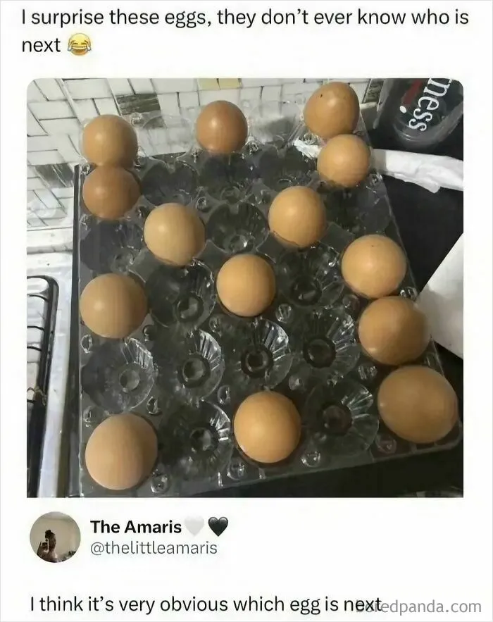 An egg carton with scattered eggs illustrating a post that breaks down complex memes and joke logic.