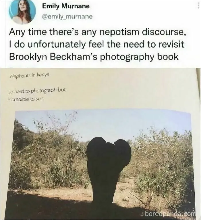 Page from a photo book depicting a dark elephant silhouette from complex memes.