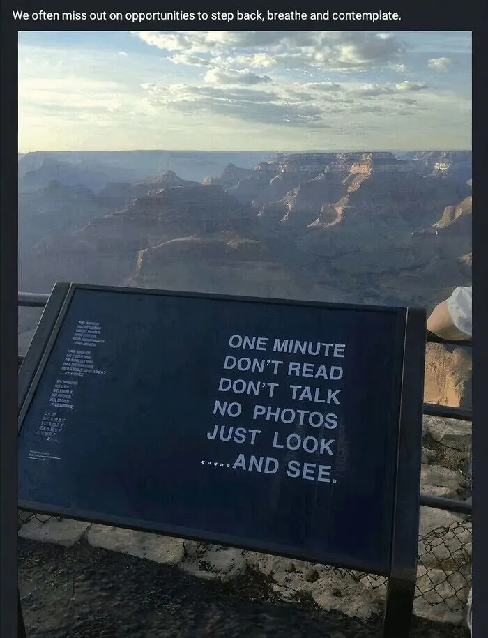 LinkedIn post with sign urging to pause and look at nature