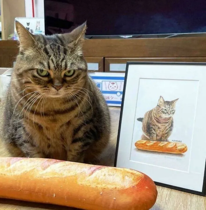 Grumpy tabby cat sitting next to a baguette plush toy and a framed painting in hilarious cat crimes.