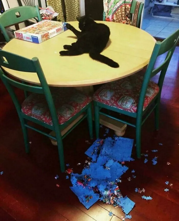 Hilarious cat crimes committed by a black cat lying on a table after pushing a jigsaw puzzle onto the floor.