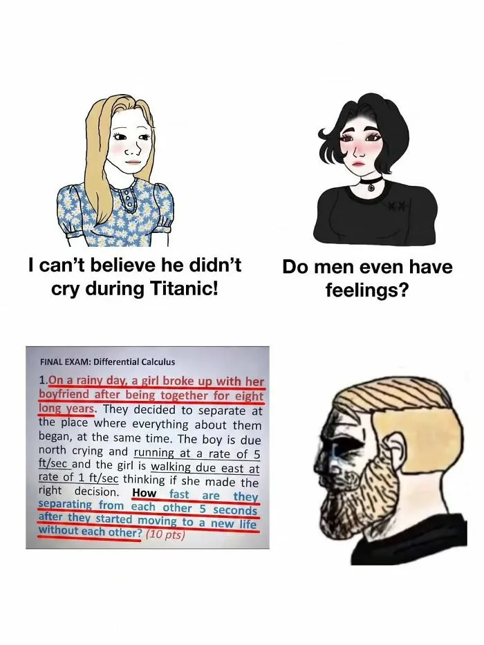 Amusing physics posts meme showing a sad calculus word problem about a breakup alongside crying Wojak.