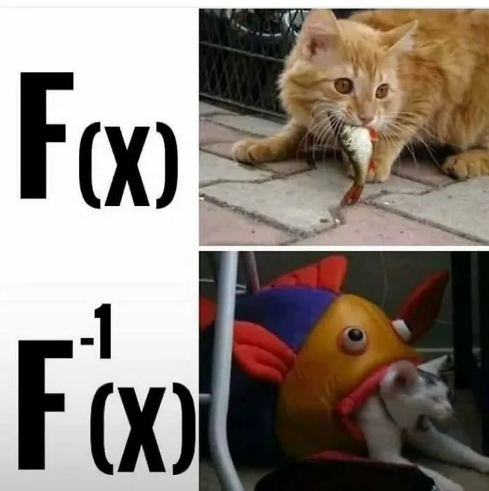 Amusing physics posts math meme with a cat eating a fish for function f(x) and inverse function f^-1(x).