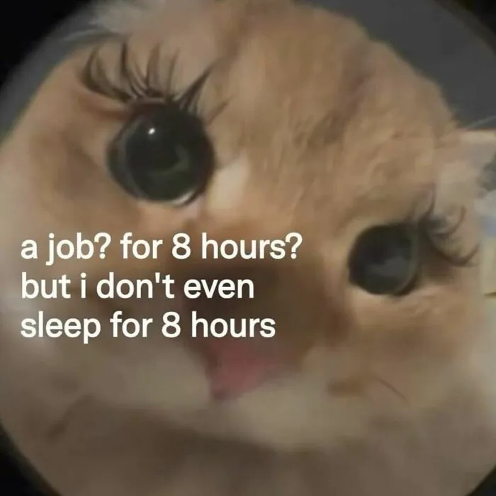 Relatable meme of a cat with long eyelashes questioning working an 8-hour job.
