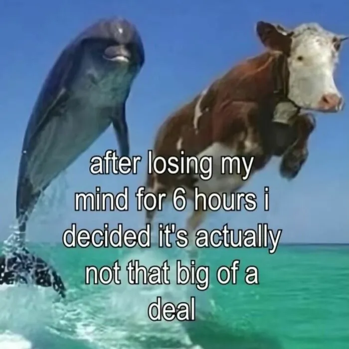 Relatable memes featuring a dolphin and cow jumping out of water with text about losing ones mind.