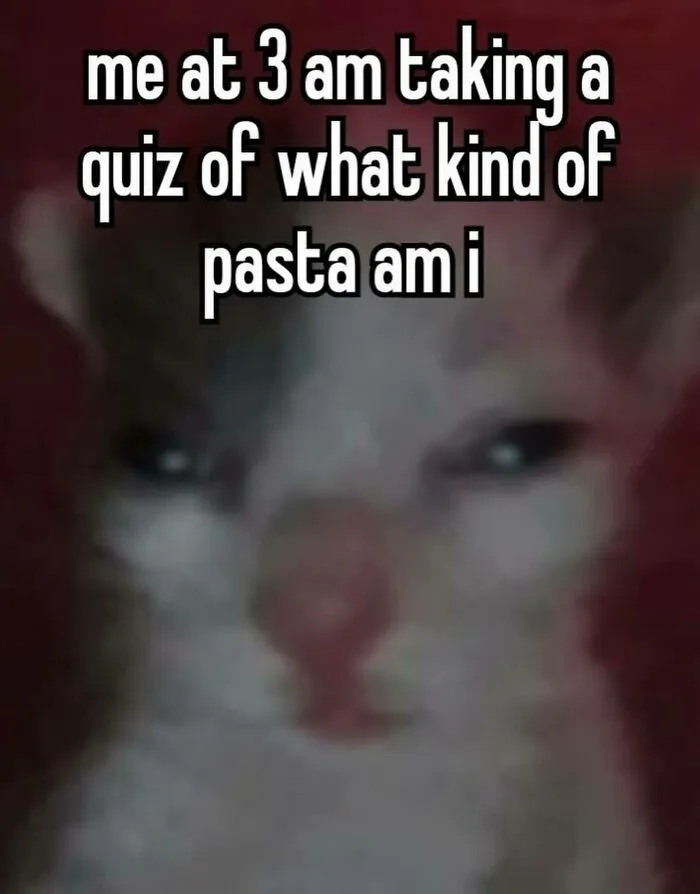 Relatable memes with funny text about taking online quizzes at 3 AM.