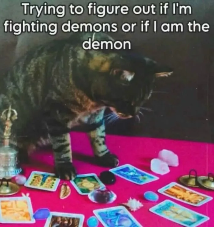 A tabby cat looking at tarot cards with relatable memes text about fighting demons.