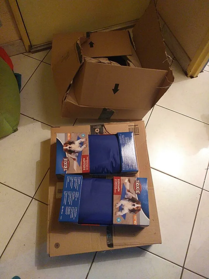 Extremely large shipping box used to deliver two small dog cooling mats, illustrating bad packaging fails.