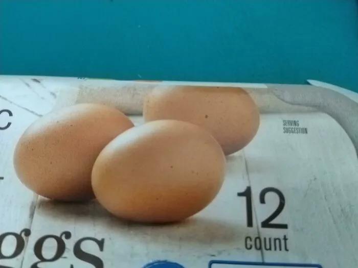 Egg carton package showing a picture of eggs, illustrating funny packaging fails.