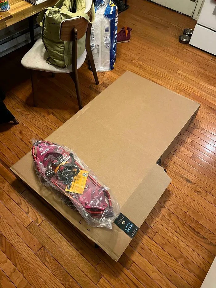 Pair of snowshoes sitting on top of an unnecessarily giant cardboard box demonstrating bad packaging fails.