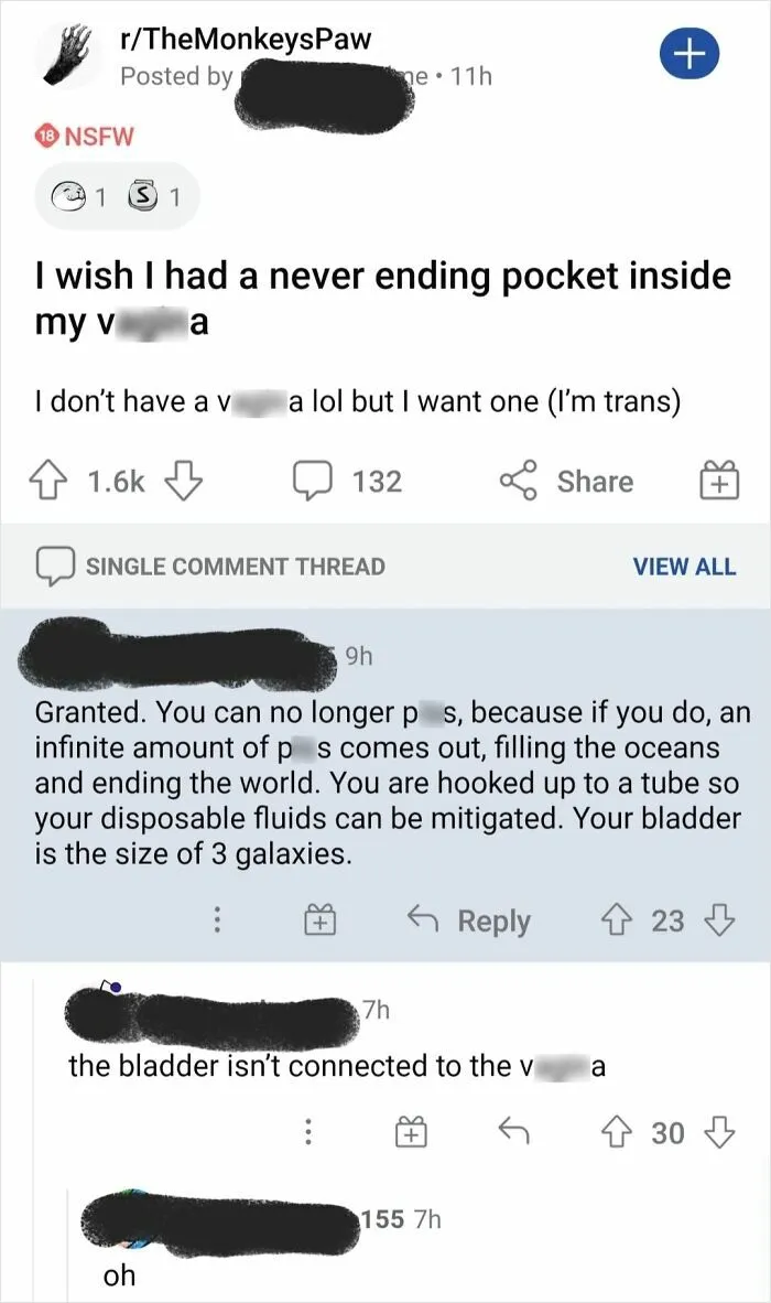 Reddit post showing confusing takes on female anatomy and urinary systems.