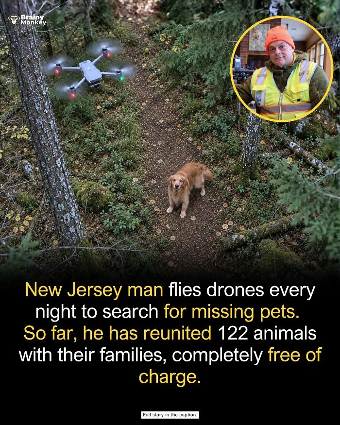 Drone flying over a golden retriever dog in the forest to locate missing pets, sharing wholesome facts.