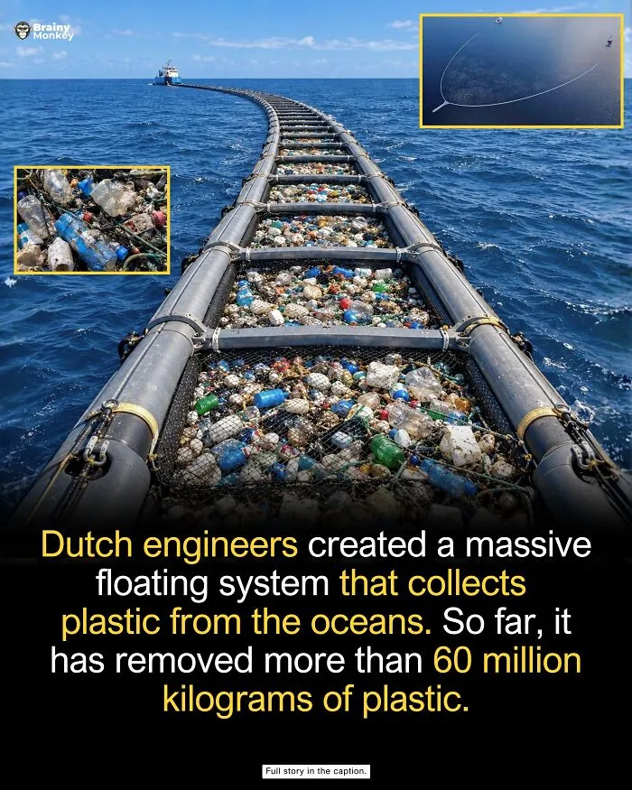 Ocean cleanup system collecting plastic waste, highlighting wholesome facts about positive global impact.