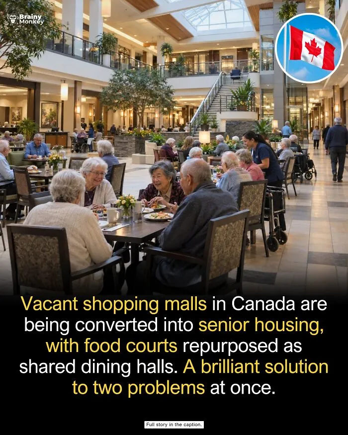 Seniors eating in a repurposed shopping mall, one of many wholesome facts sharing inspiring human stories.