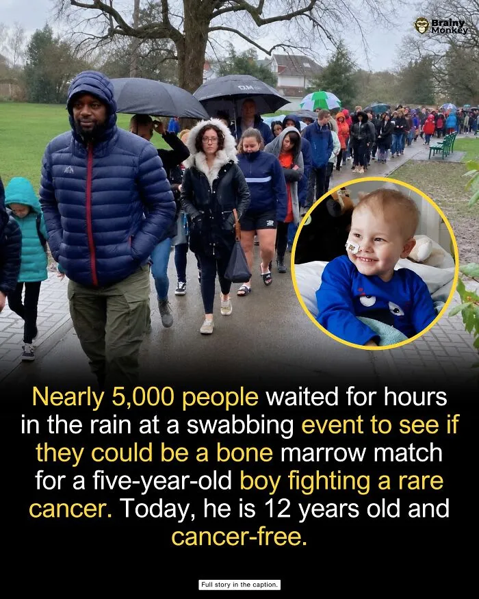 Queue of people under umbrellas at a swabbing event, part of wholesome facts that inspire hope.