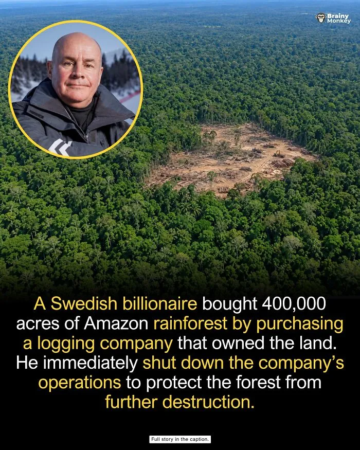 Aerial view of Amazon rainforest in a story highlighting wholesome facts about conservation efforts.