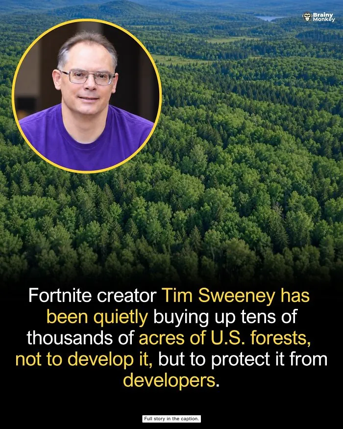 Aerial view of dense green forest with inset portrait related to wholesome facts