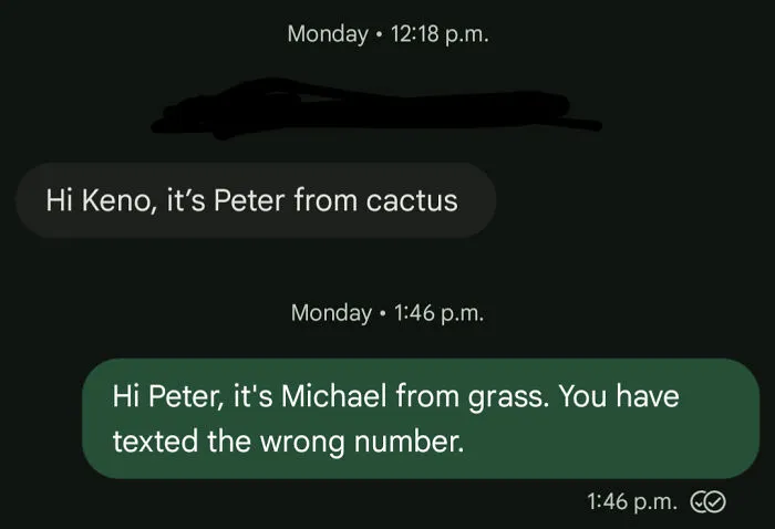 Witty reply to wrong number texts mentioning Peter from cactus and Michael from grass.