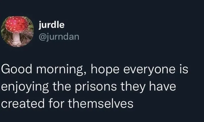 Social media post reading Good morning, hope everyone is enjoying their self-created prisons, a relatable meme.