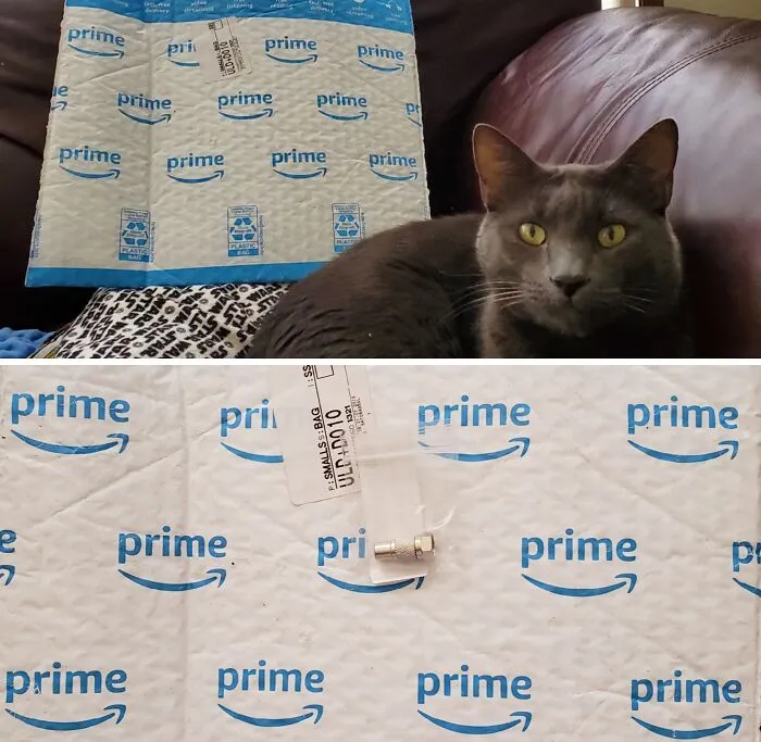 Tiny metal adapter delivered in a massive Prime padded envelope, illustrating bad packaging fails
