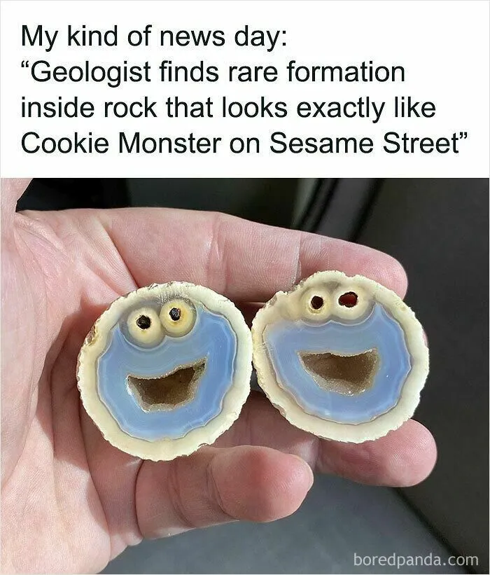 Wholesome memes image of two agate rock halves that naturally look like Cookie Monster.
