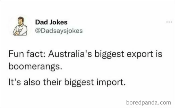 Wholesome memes tweet featuring a dad joke about Australia importing and exporting boomerangs.