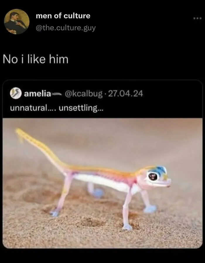 Colorful lizard on sand featured in funny weird animal memes