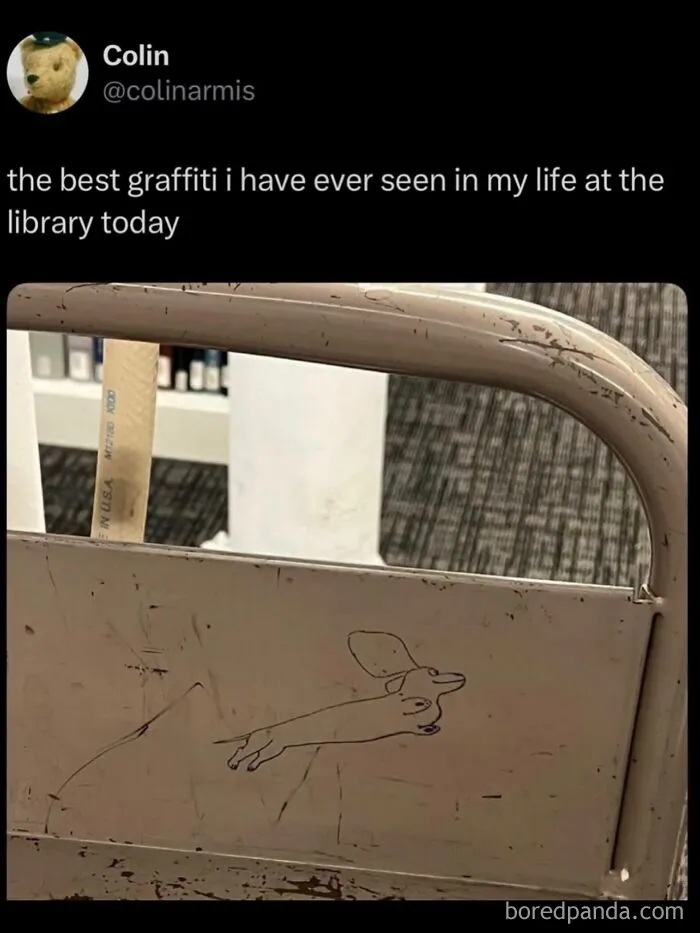 Funny weird animal memes post showing a simple drawing of a dachshund dog as graffiti on a library chair